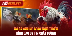 Đá Gà Online AD88 Trực Tuyến Đỉnh Cao Uy Tín Chất Lượng